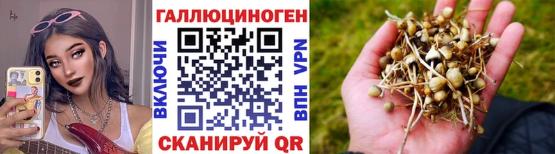 Псилоцибиновые грибы Cubensis  ОМГ ОМГ ссылки  Мезень 