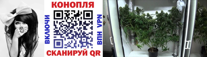 Шишки марихуана Bruce Banner  Мезень 